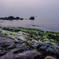 DSC08085_HDR