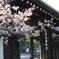 京都　南禅寺