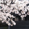 南禅寺　三門