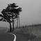 on the road