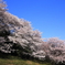 小牧山