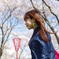 桜の時