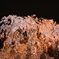 二条城夜桜ライトアップ