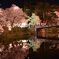 夜咲くら