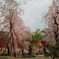 平安神宮