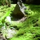 吉田山の庭園