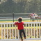 大人も子供もお馬さん観戦