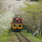 トロッコ電車