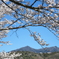 筑波山