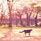 桜と猫と