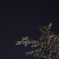 何度目かの夜