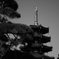 八角五重塔