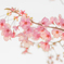 春色Ⅷ