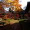 「志賀山文庫」紅葉に染まる庭