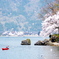 海津大崎