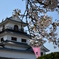 春の白石城