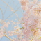 枝垂れ桜