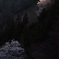 桜の情景