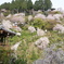 善峯寺