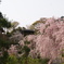 善峯寺