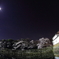 夜桜と月