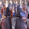 魚・・・