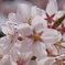 DSC05065
