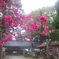 雨寺