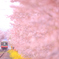 さくらさくらさくら