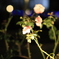 夜の花園