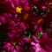 R0010580