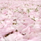 Accumulate