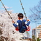 Swing & Sakura