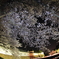 城と夜桜