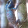 P1090442