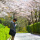 桜入学式