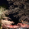 春の夜