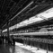 PSX_20140420_165857
