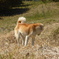P1000906