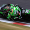 TEAM GREEN