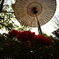 NoTitle