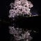Magic Light