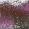 桜の花びら