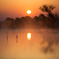 new day begins