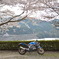 VTR250