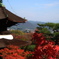 晴れやかに紅葉と行きますかな