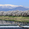 蔵王山脈と一目千本桜