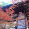犬山