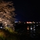 新庄村