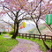 DSC01598
